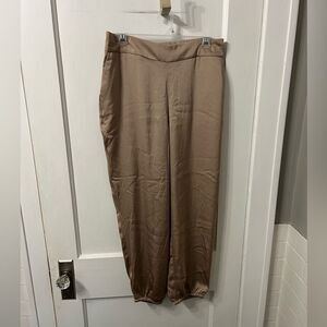 NWT Express Tan Ankle Silky Pants